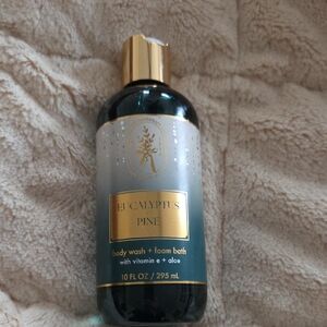 Bath & Body Works Eucalyptus Pine Body Wash & Foam Bath